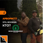 Кто такие арбористы?