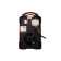 Сварочный инвертор Сварог REAL ARC 315 (Z29801)